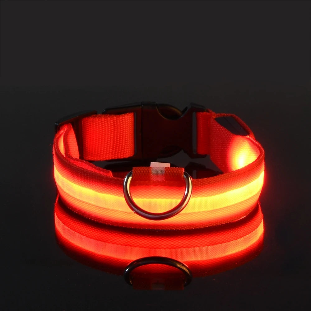 LED Light Up Nylon Dog Collar