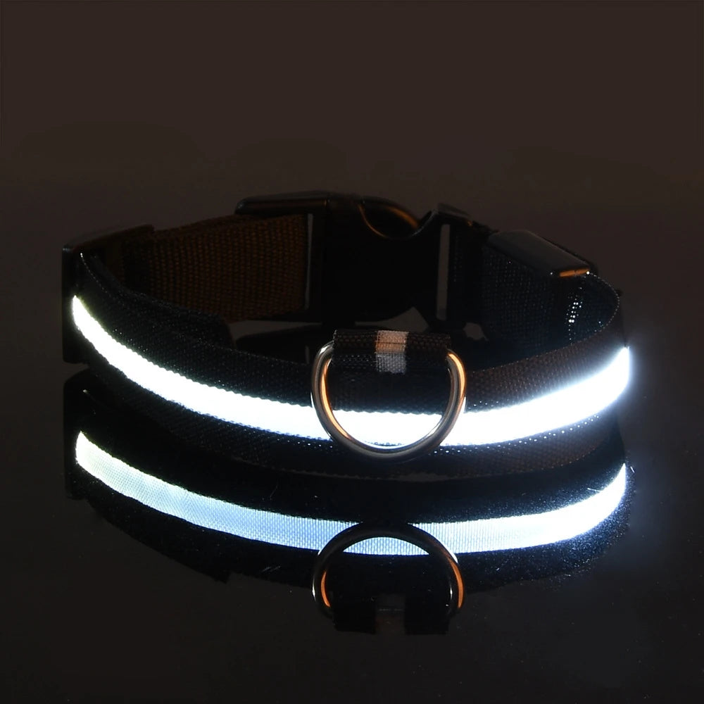 LED Light Up Nylon Dog Collar