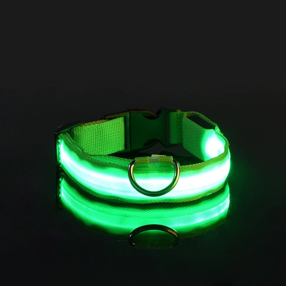 LED Light Up Nylon Dog Collar