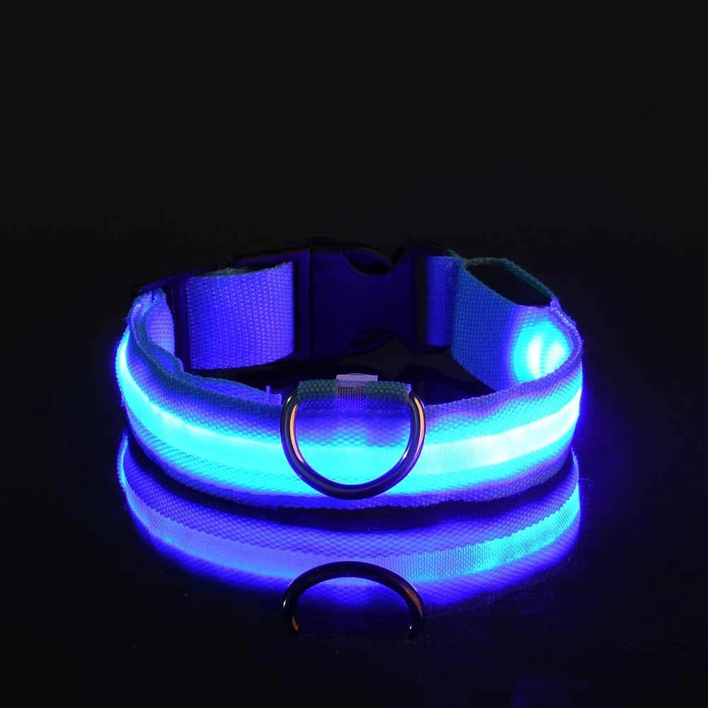 LED Light Up Nylon Dog Collar