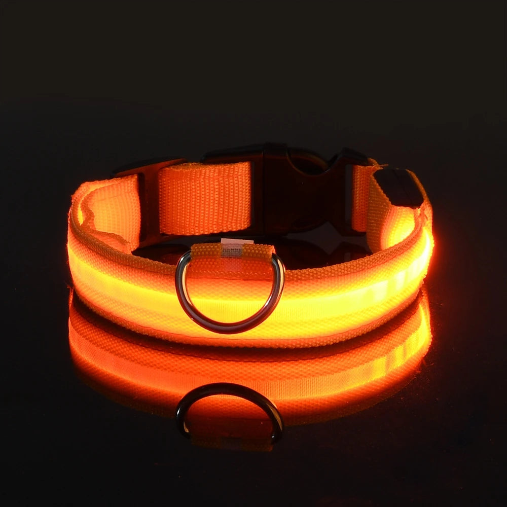 LED Light Up Nylon Dog Collar