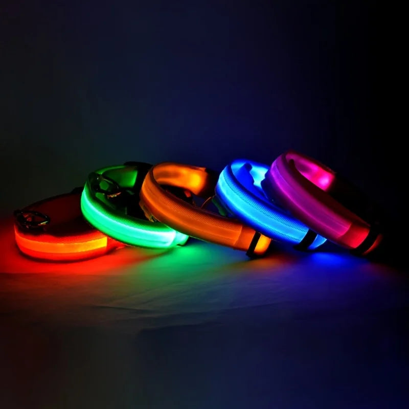 LED Light Up Nylon Dog Collar