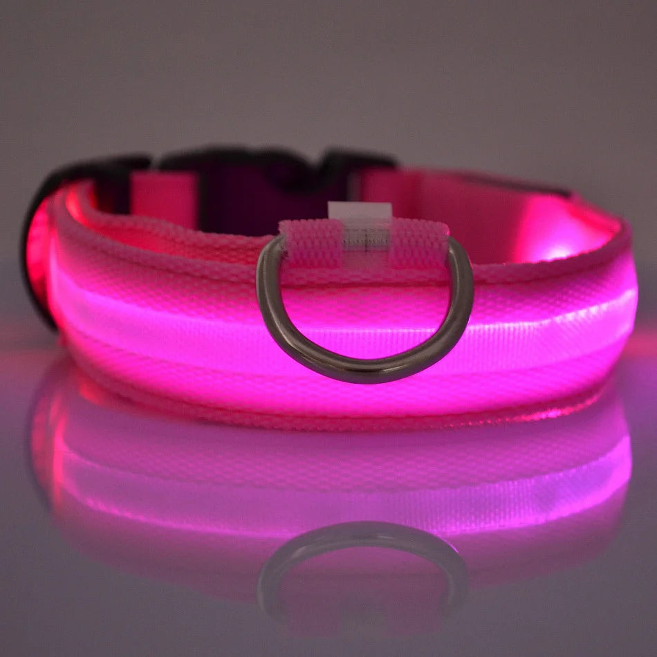 LED Light Up Nylon Dog Collar