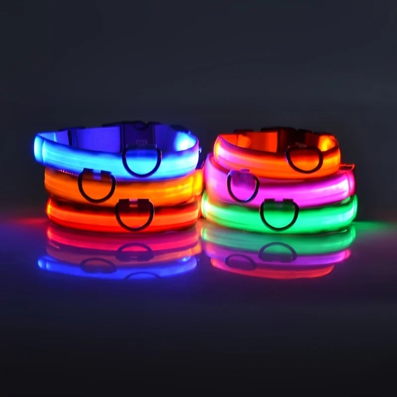 LED Light Up Nylon Dog Collar