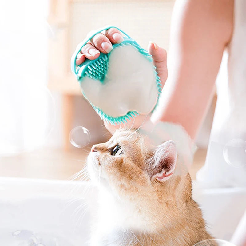 Bath Brush