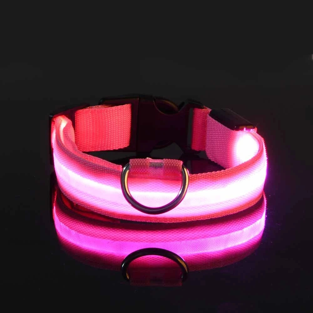 LED Light Up Nylon Dog Collar