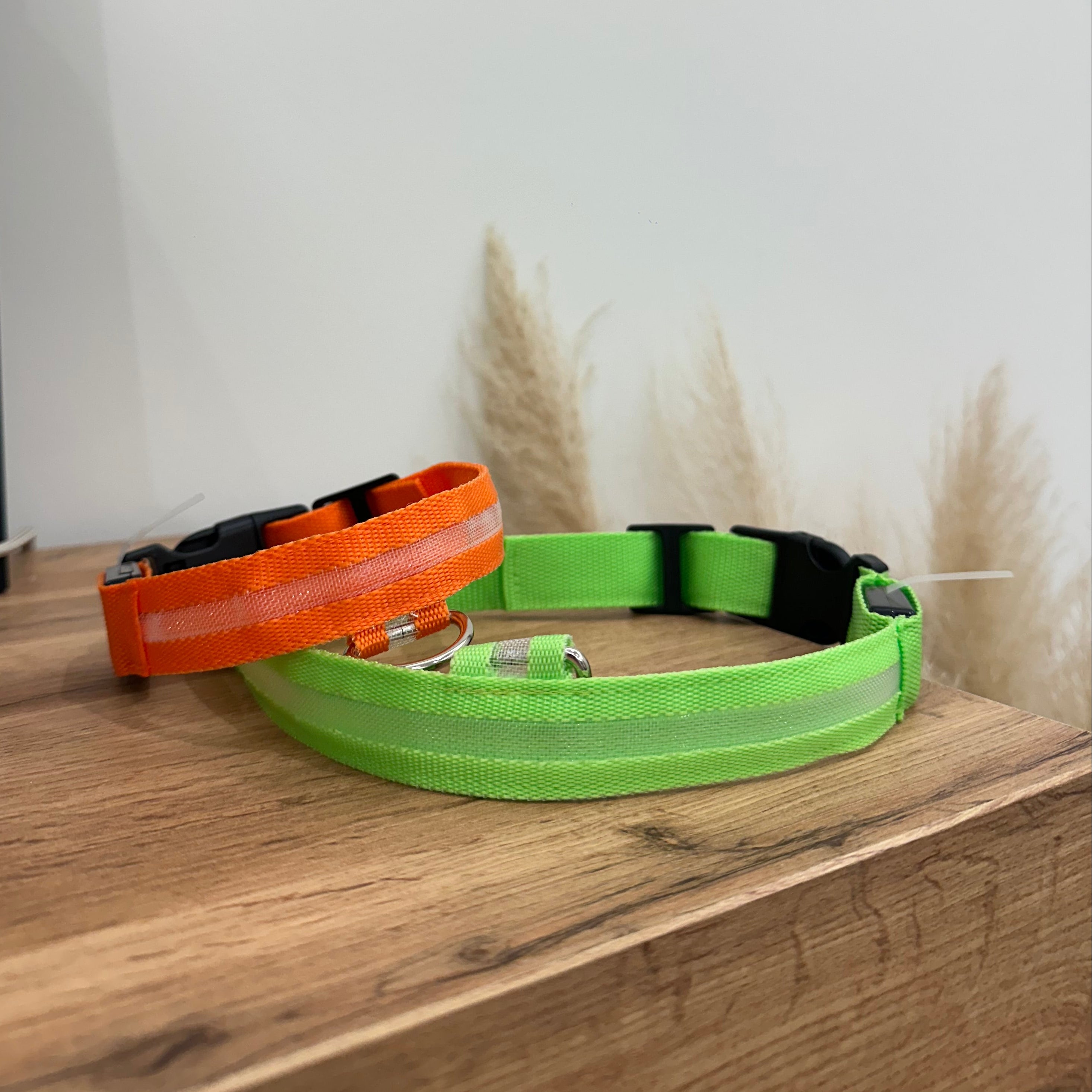 LED Light Up Nylon Dog Collar