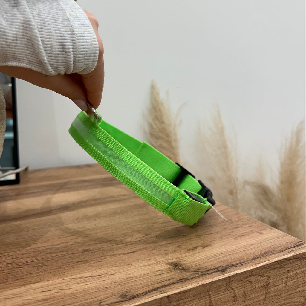 LED Light Up Nylon Dog Collar