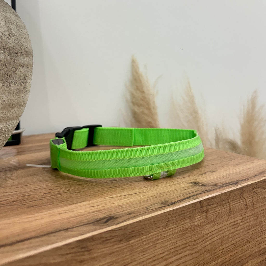 LED Light Up Nylon Dog Collar
