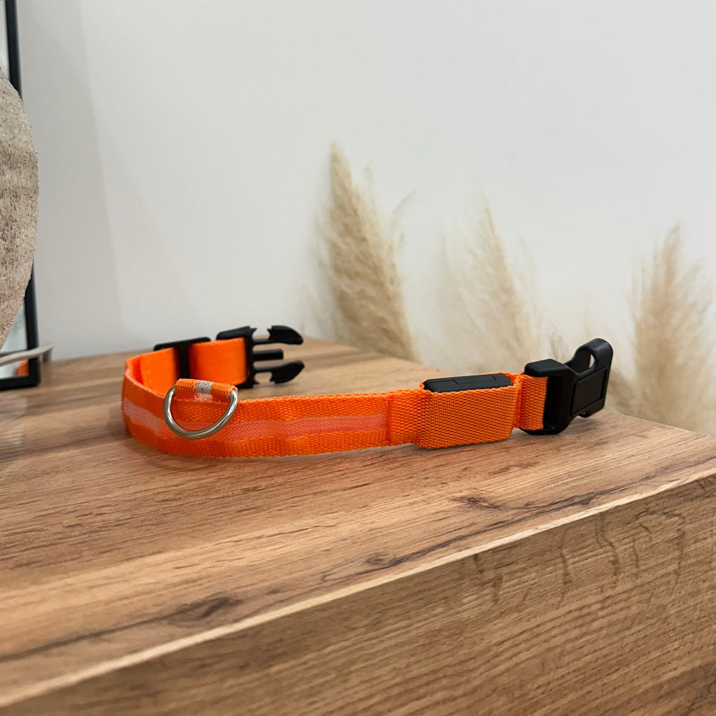 LED Light Up Nylon Dog Collar