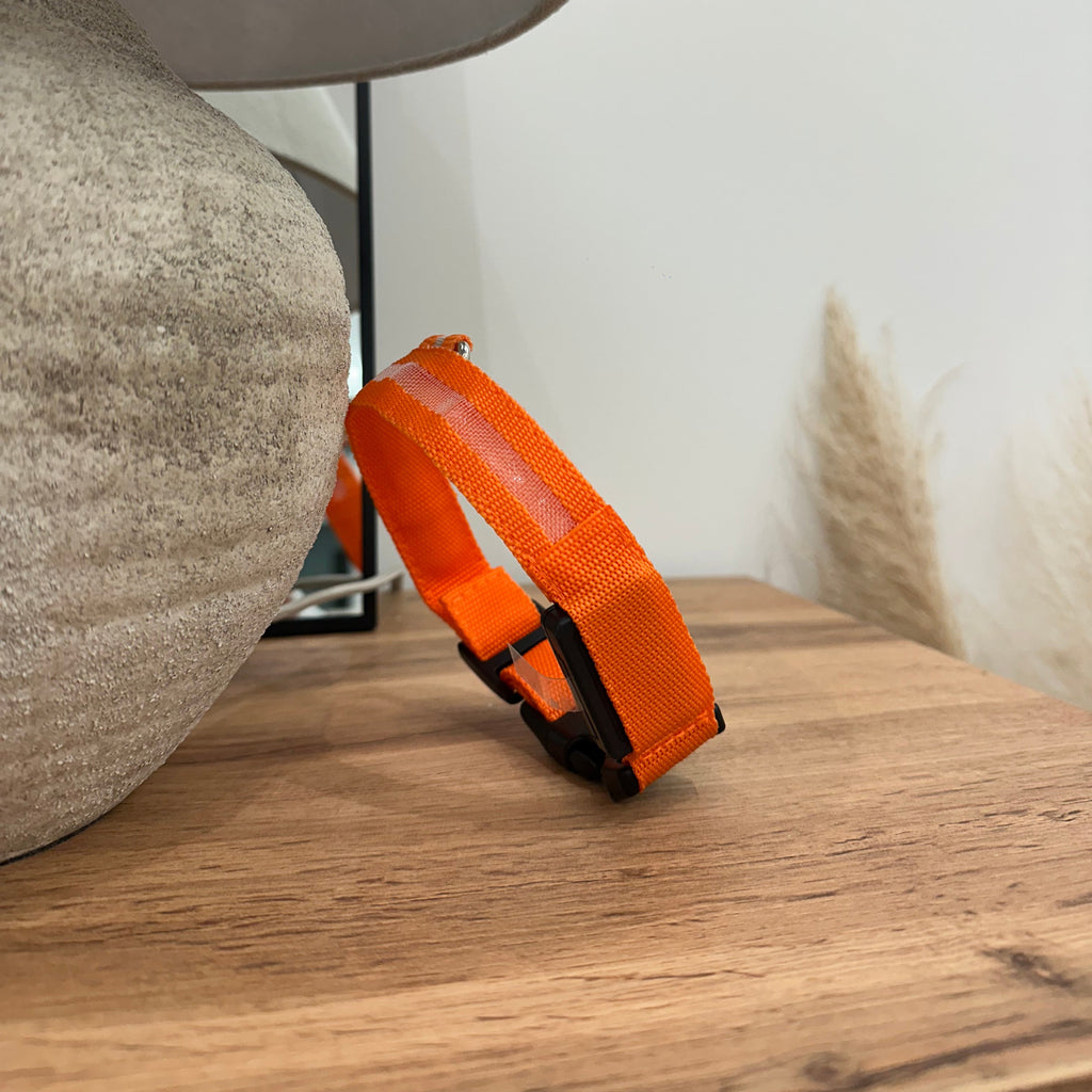 LED Light Up Nylon Dog Collar