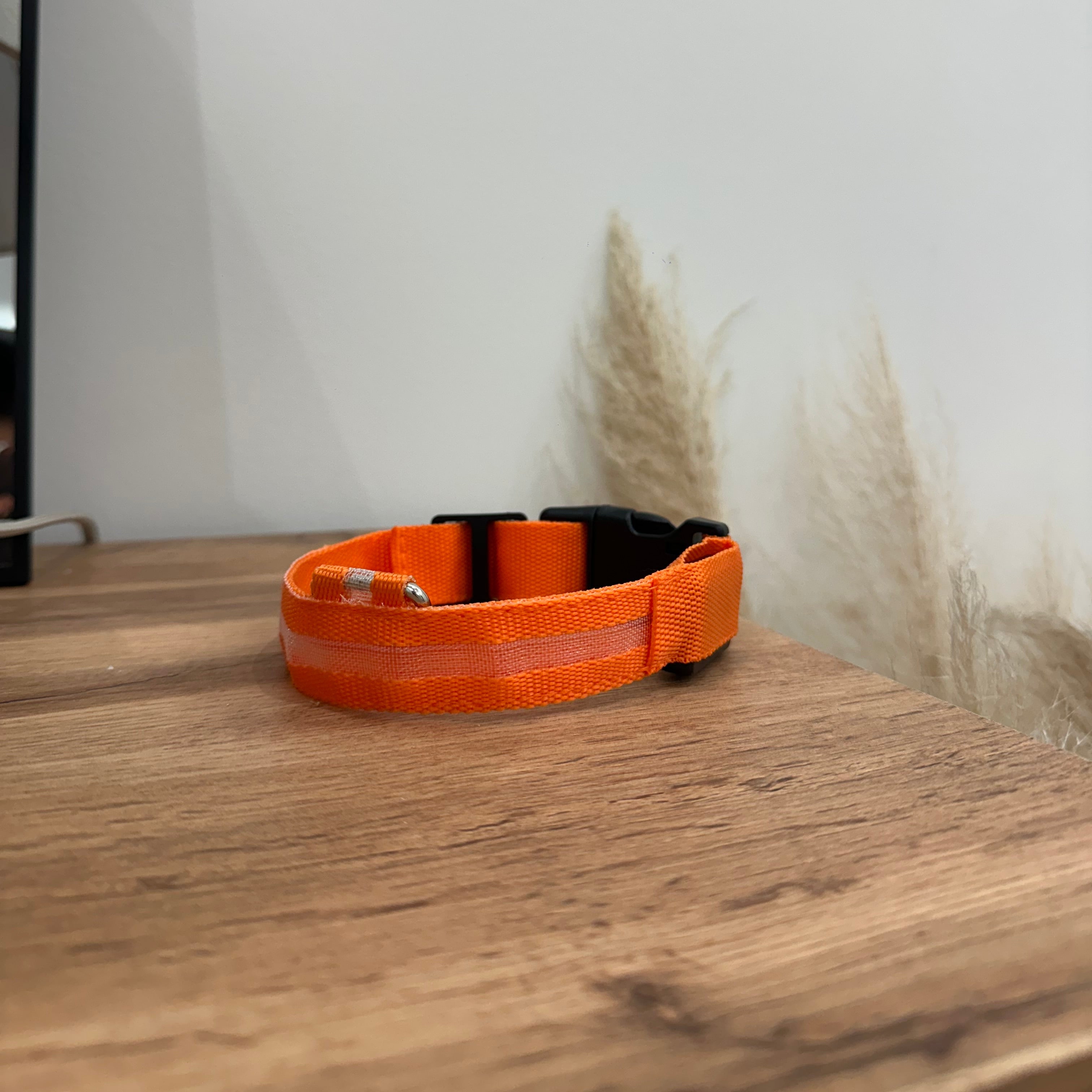 LED Light Up Nylon Dog Collar